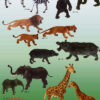 zoo i plastik