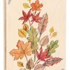 7600170 1 Stor blomsterpresser