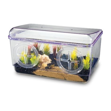 Terrarium til opdagelse