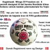 3000505 A Fodbold til alt slags vejr. Fifa godkendt og opfylder alle slags krav. rigtig god i frost vejr.