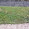 Træde stubbe Balance sæt 6 stk