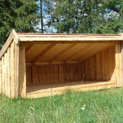 Shelter