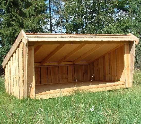 Shelter