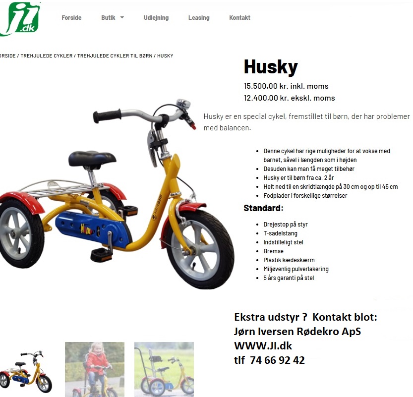 3 hjulet HUSKY vanRaam cykel